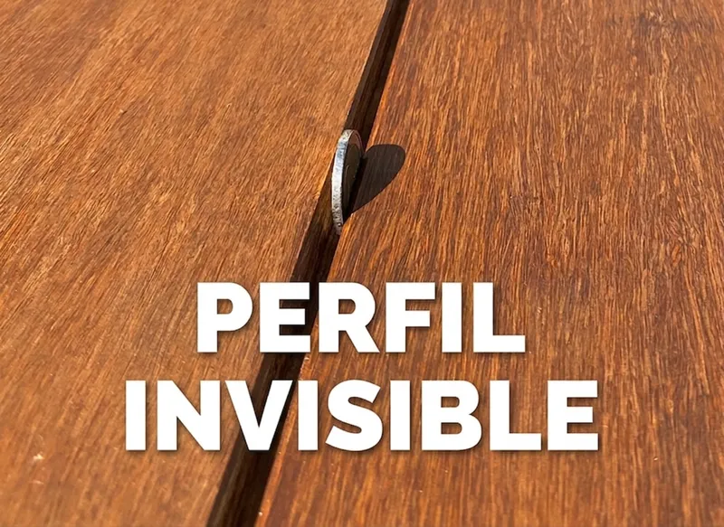 Perfil Invisible