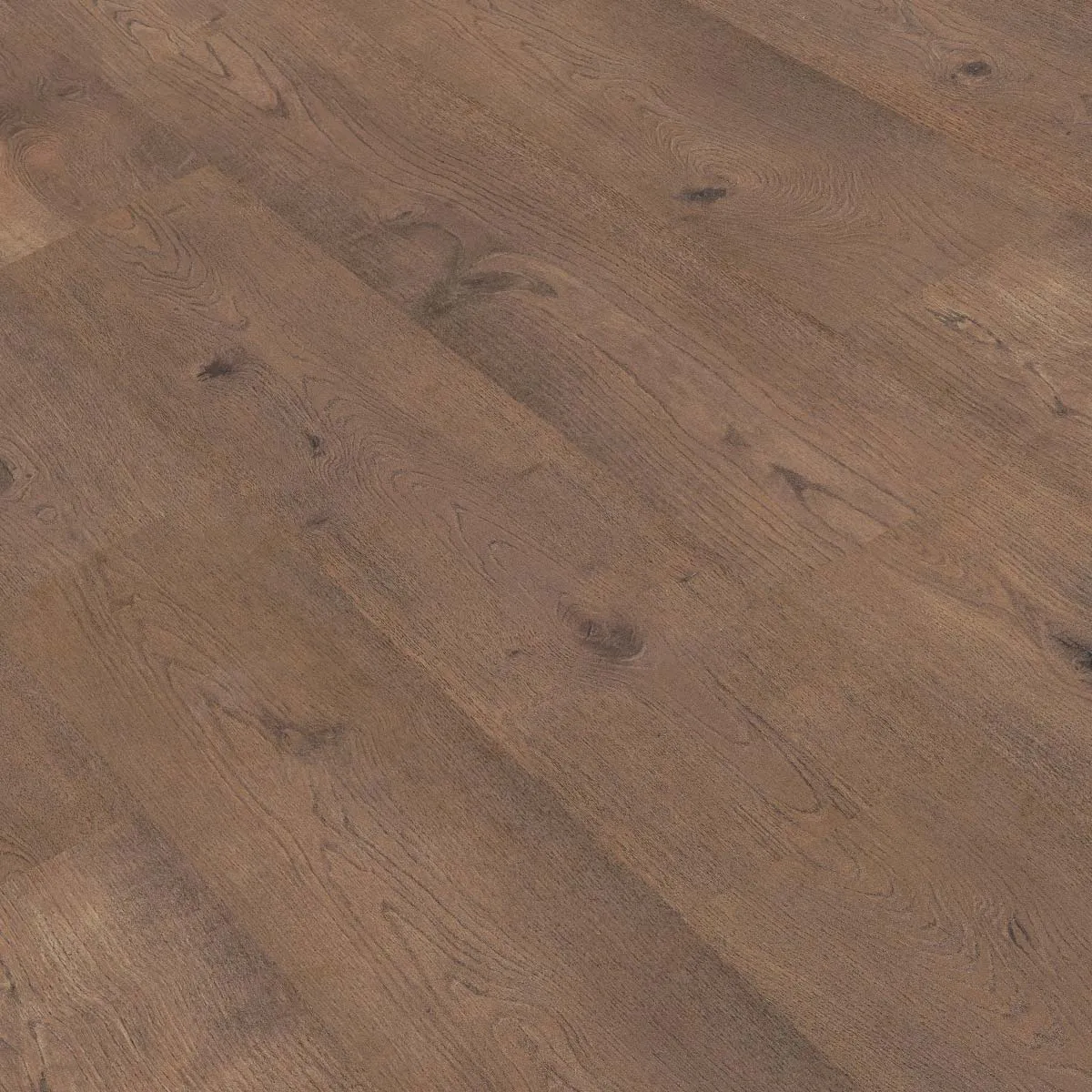 suelo laminado gold laminate pro800real Gold Laminate Gold Laminate Pro800Real Roble Aristocracia