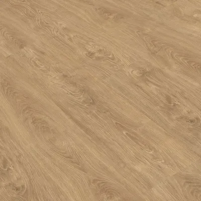 Gold Laminate Pro800Real Roble Calma - Gold Laminate